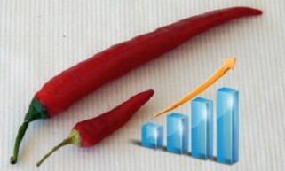 An increase in penis