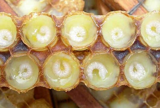 Royal jelly helps accelerate penis growth